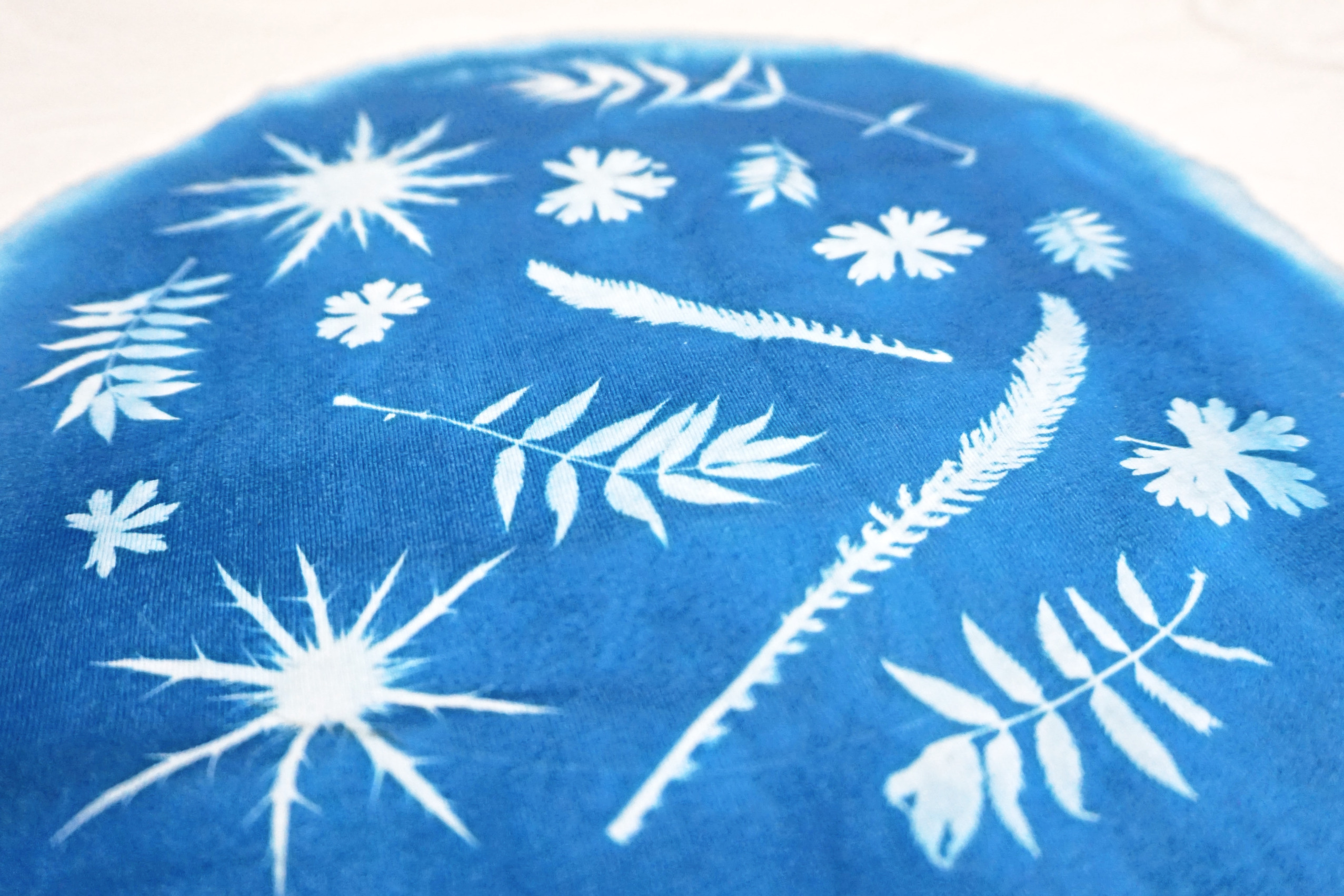 Cyanotype Workshop: Botanical Print T-Shirts
